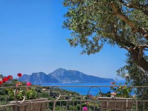 Villa Luci di Capri Massa Lubrense